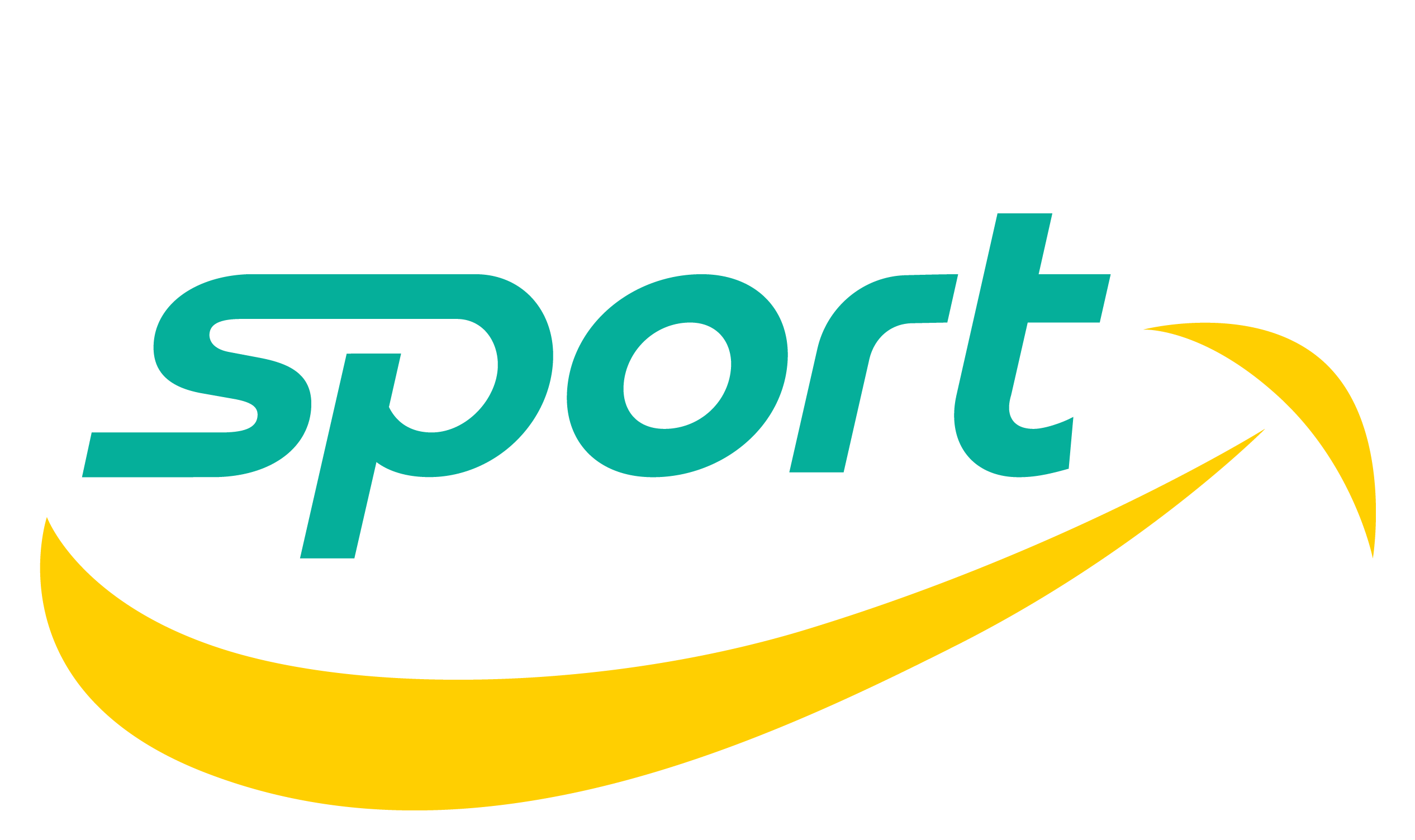 logo-nano-sport-pie